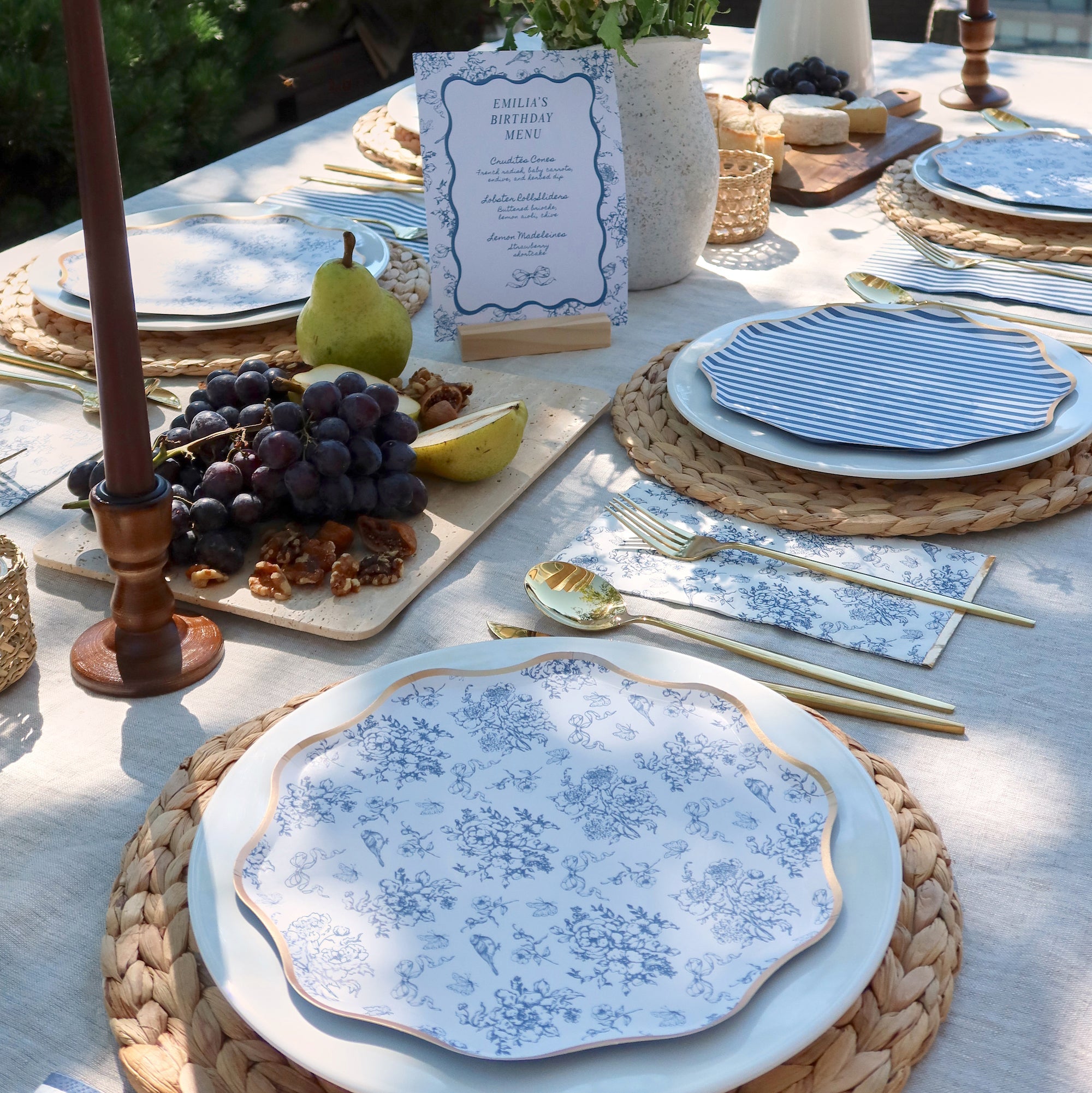 Hamptons Toile